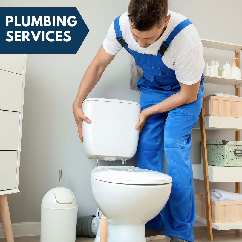 Plumbing Company in Bowersville, GA